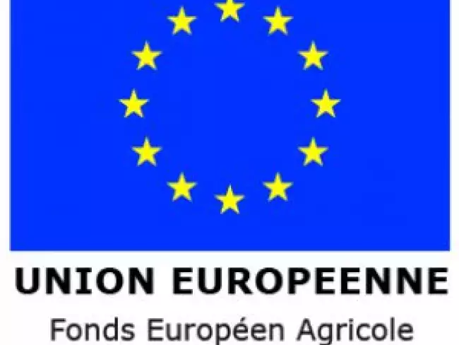 Union Européenne
